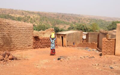 The impact of US foreign aid cuts in Mali